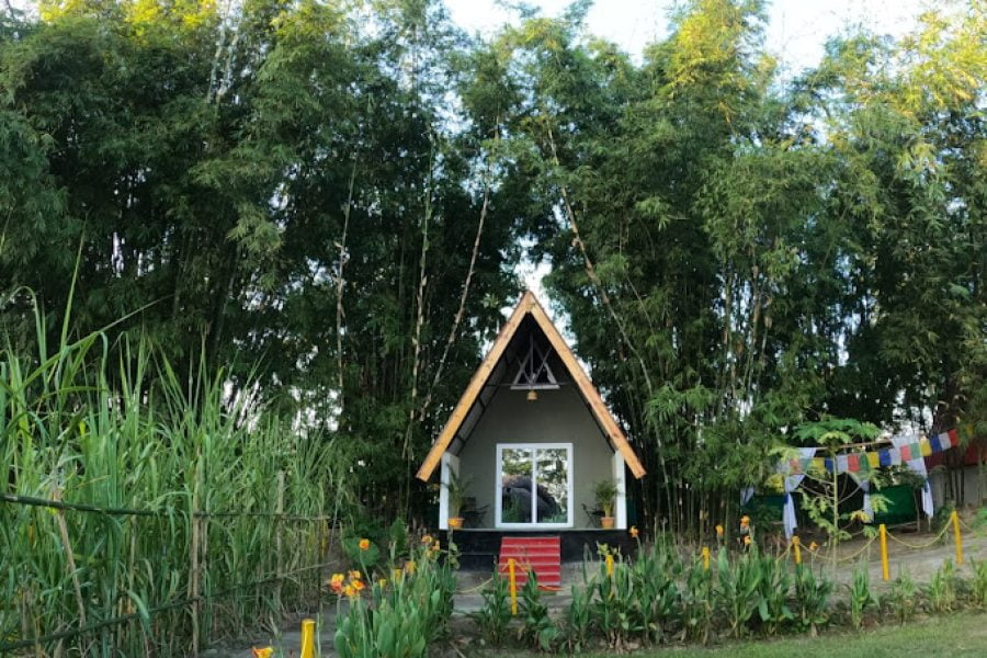 Pobitora Village Eco Camp