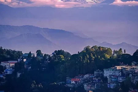 Hotel Aristocrat Darjeeling