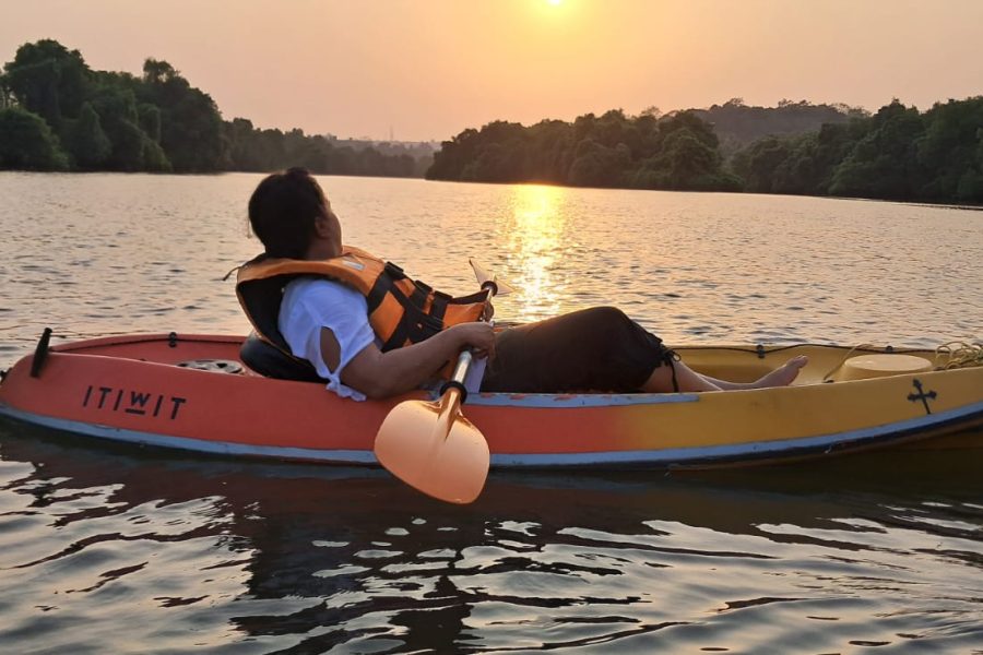 Moira kayaking and birds watching tour