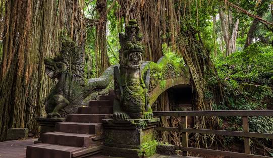 3. Monkey Forest