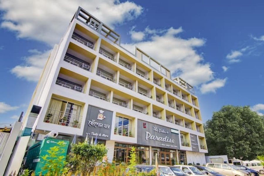 Palette- The Piku’s Paradise