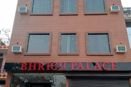 Bhrigu palace