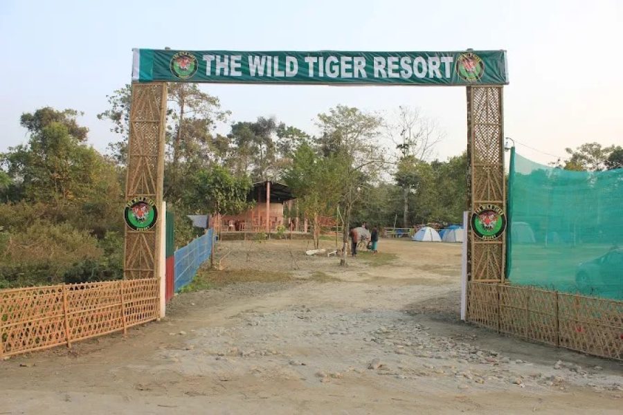 The Wild Tiger Resort