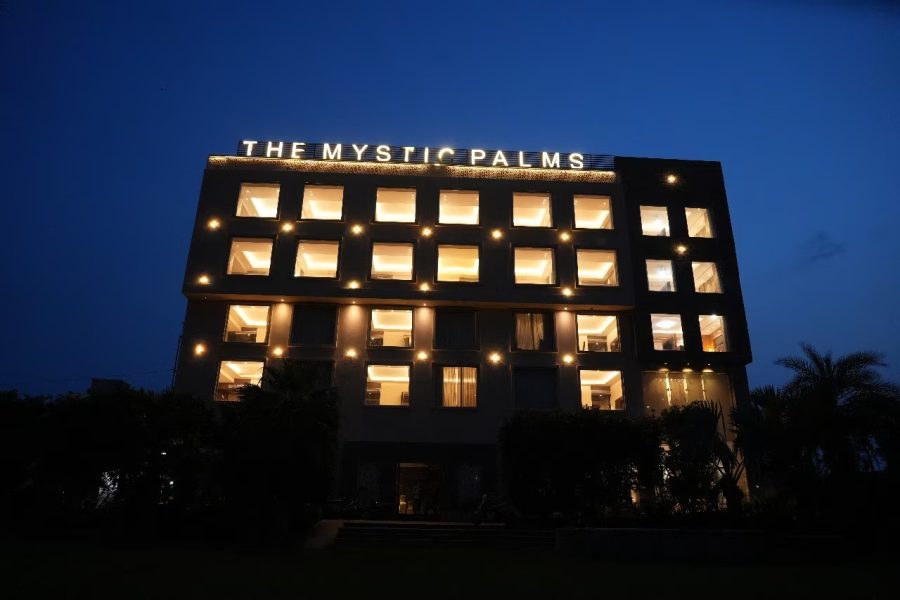 The Mystic Palms