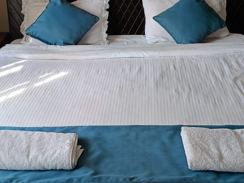 Deluxe Suite Non AC Room